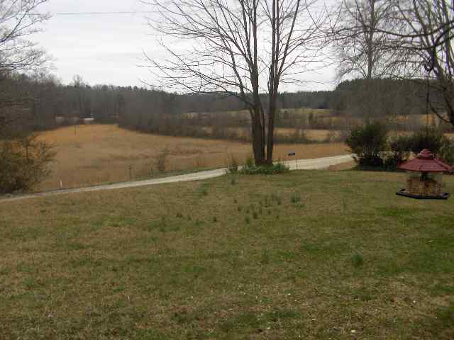 150 Whitmire Road, Unit DYNAMITE RD Tamassee, SC 29676 - Photo 4 of 7 Gallery Image 4