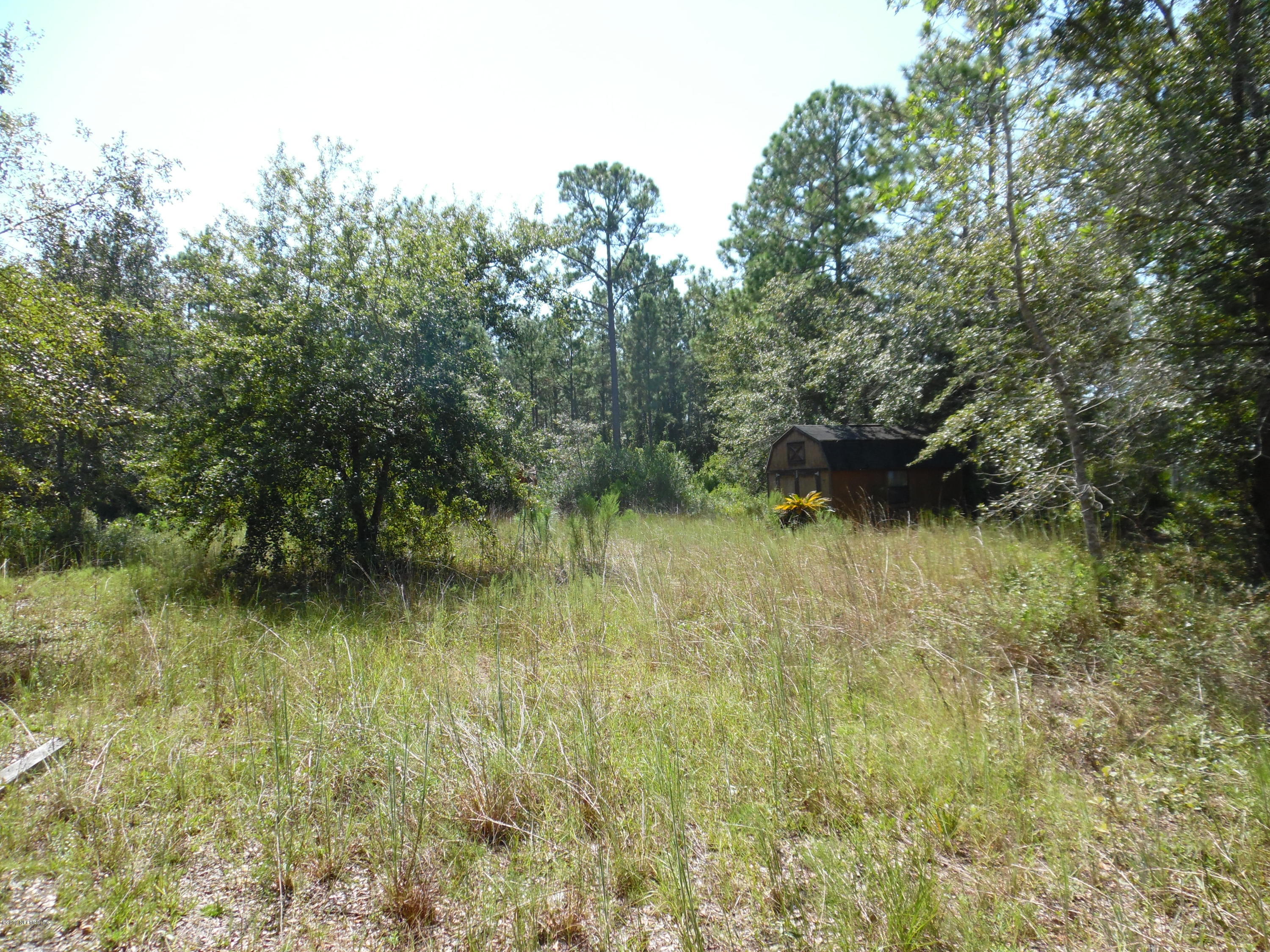 0 Bent Twig Road Middleburg, FL 32068 - Photo 1 of 6 SAM_2307 (1)