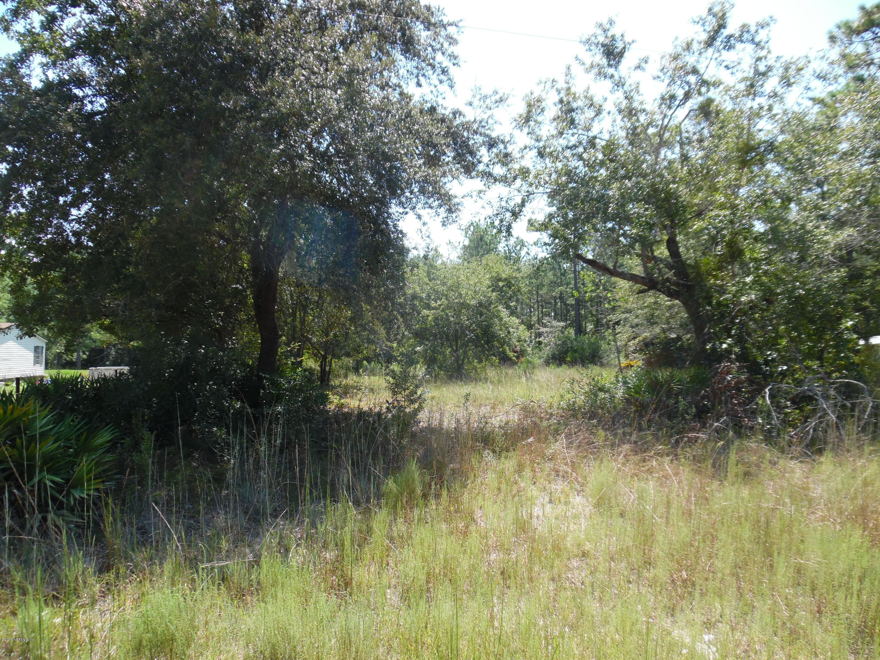 0 Bent Twig Road Middleburg, FL 32068 - Photo 2 of 6 SAM_2306 (1)