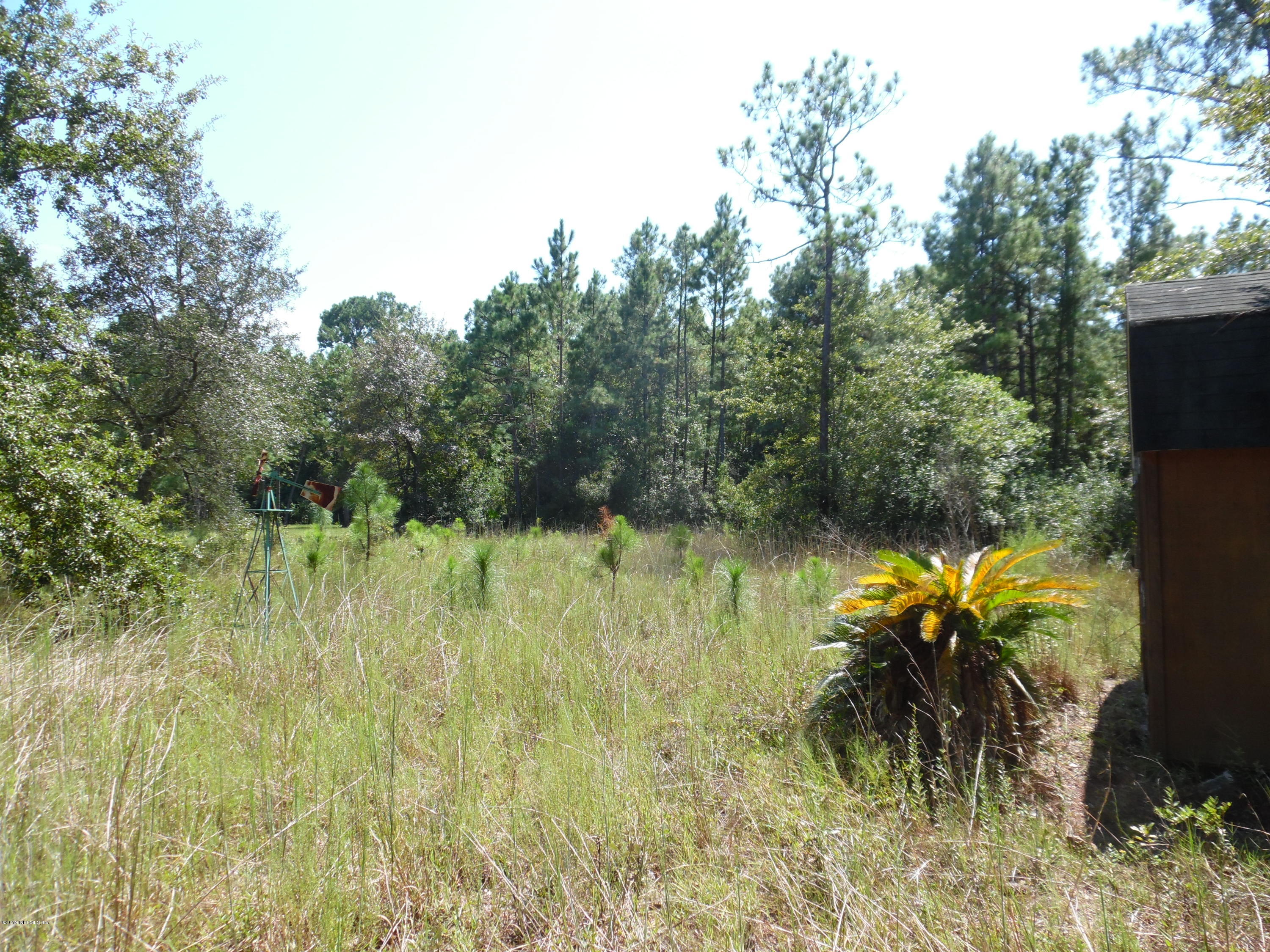 0 Bent Twig Road Middleburg, FL 32068 - Photo 3 of 6 SAM_2308 (1)