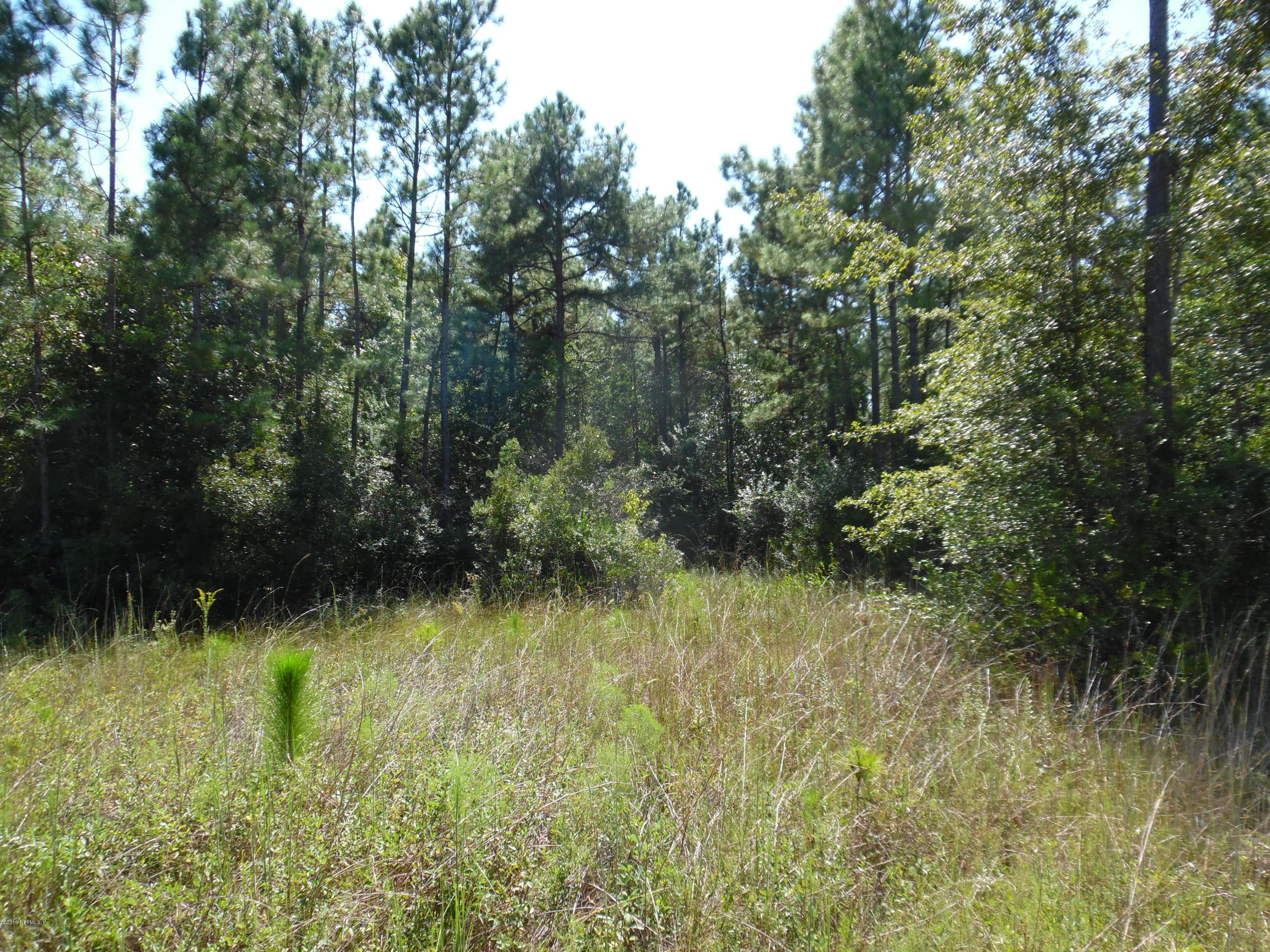 0 Bent Twig Road Middleburg, FL 32068 - Photo 5 of 6 SAM_2310 (1)