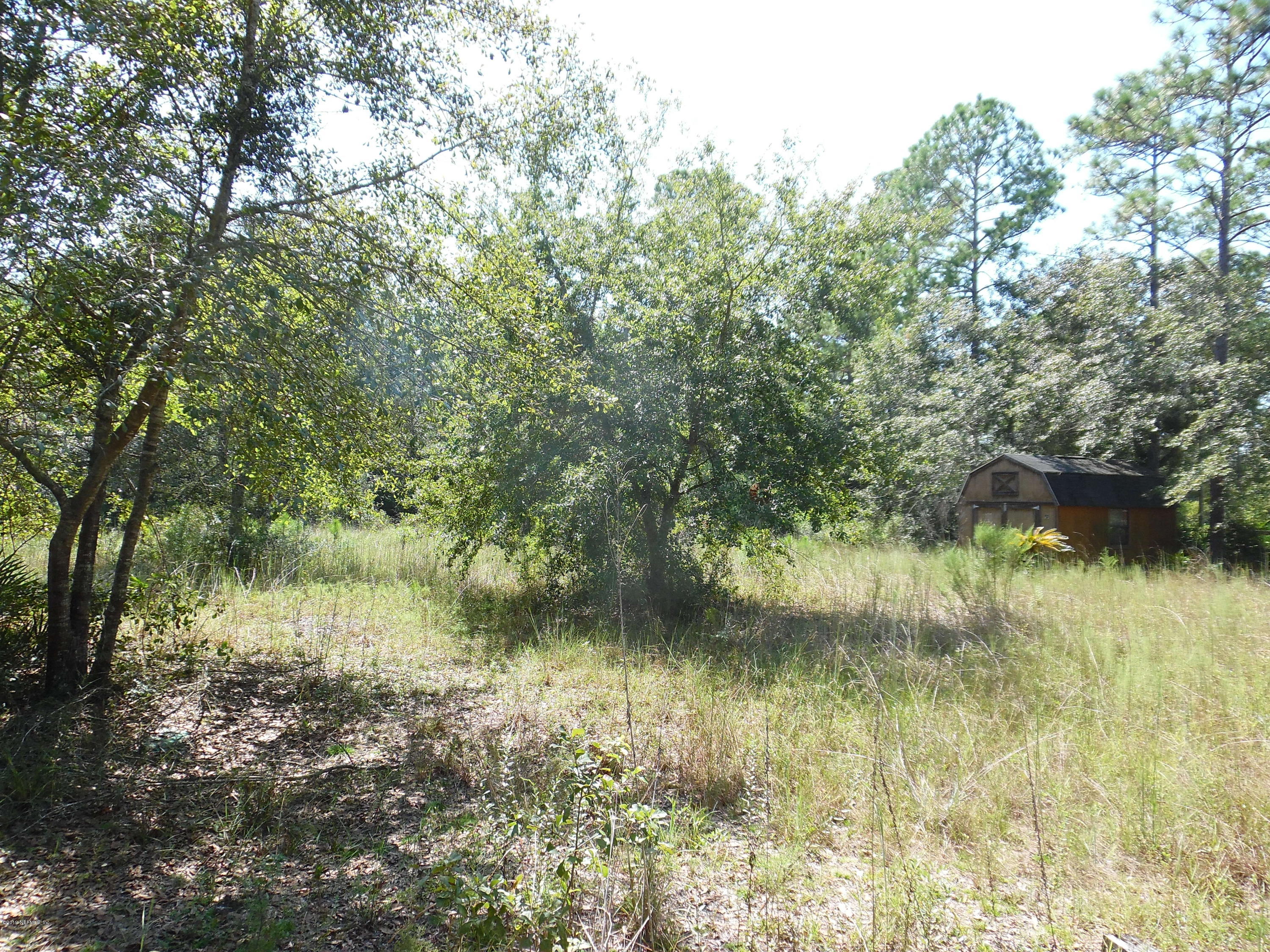 0 Bent Twig Road Middleburg, FL 32068 - Photo 6 of 6 SAM_2311