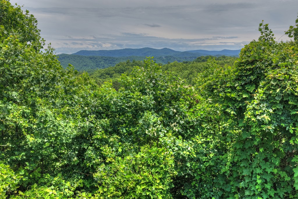 1207 Bullen Gap Road Blue Ridge, GA 30513 - Photo 57 of 61