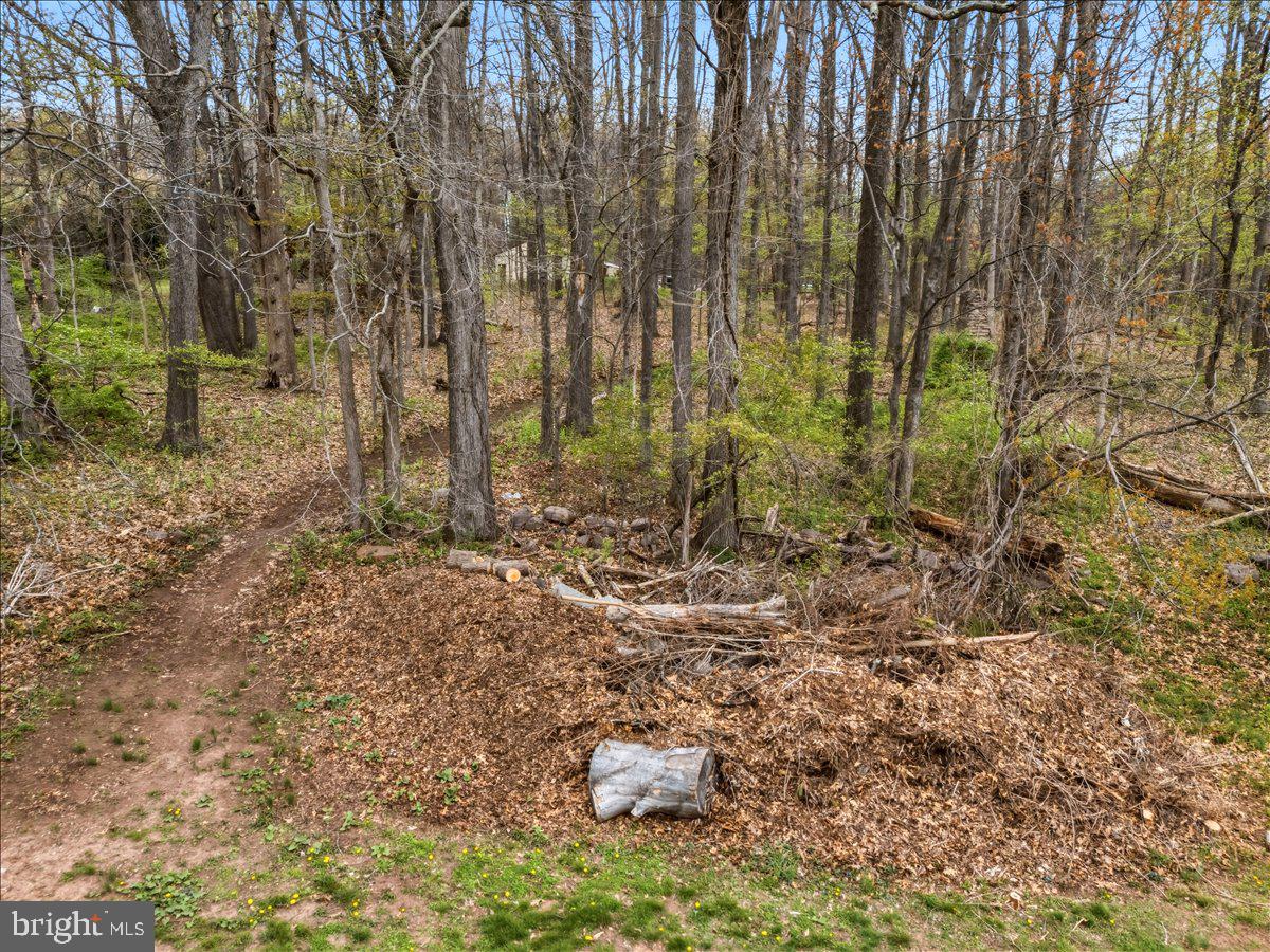41 Porters Mill Road Pottstown, PA 19465 - Photo 16 of 37 Discover the nature trail in back yard