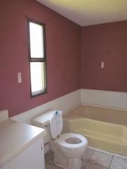 5051 Hyde Road Springfield, TN 37172 - Photo 8 of 18 FIRST master bath