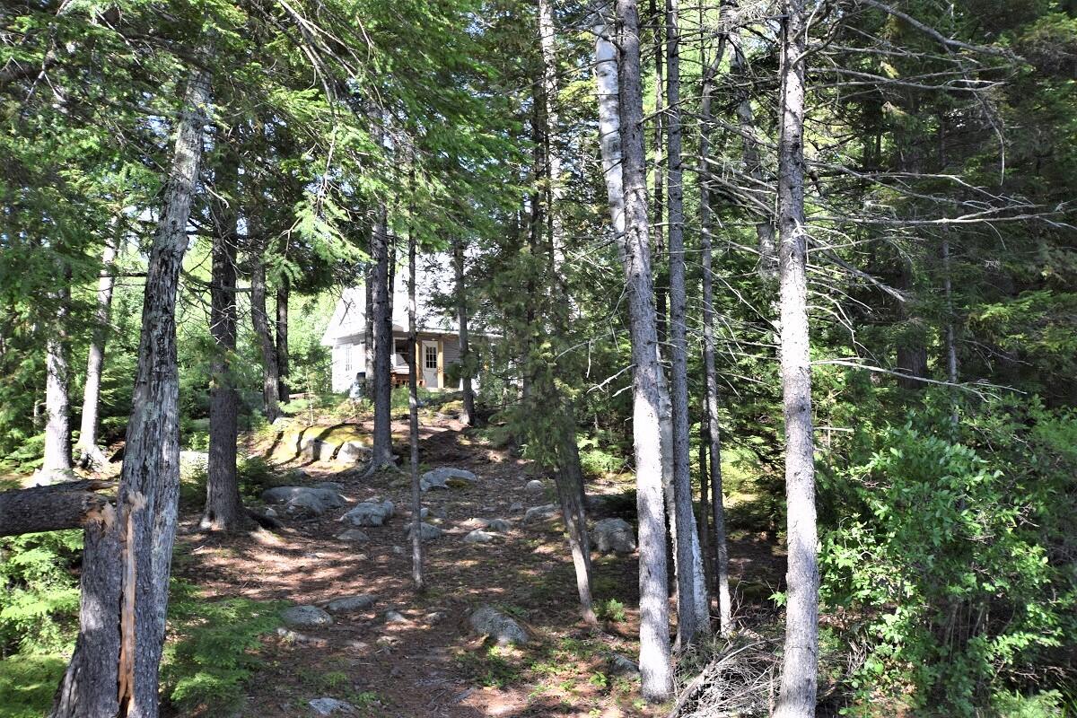 1650 Houston Road Lincoln, ME 04457 - Photo 61 of 70 Path to home from swimming area...