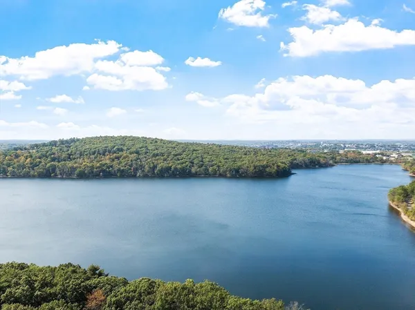 a view of a lake with a mountain