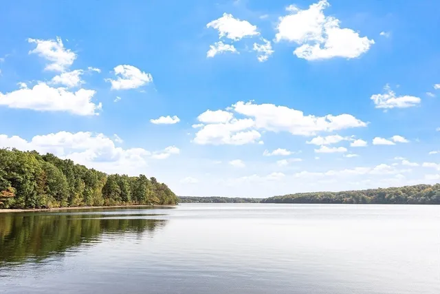 view of a lake with a city