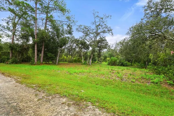 $37,500 | Creekstone Street, Webster, FL 33597
