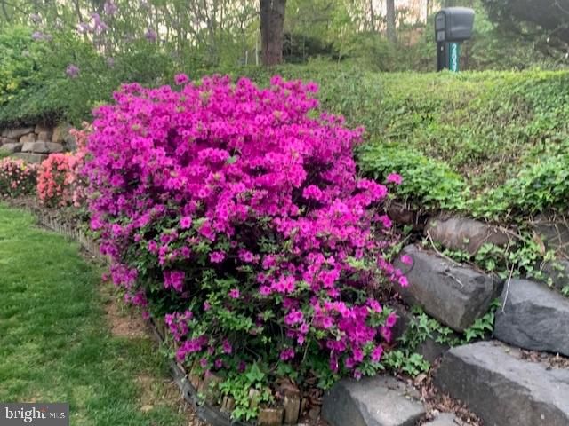 $590,000 | 2655 Collins Court, Haymarket, VA 20169