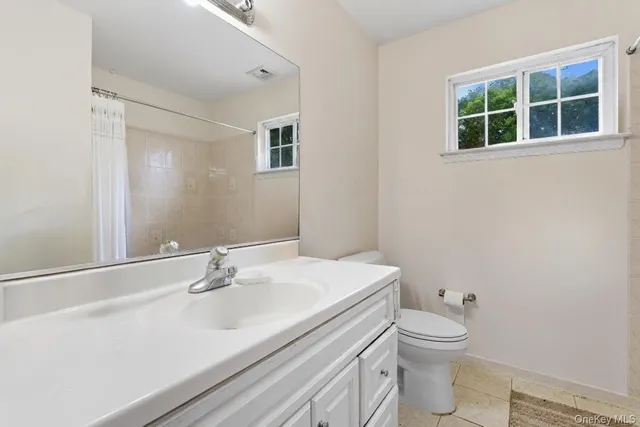 a bathroom with a sink toilet and vanity