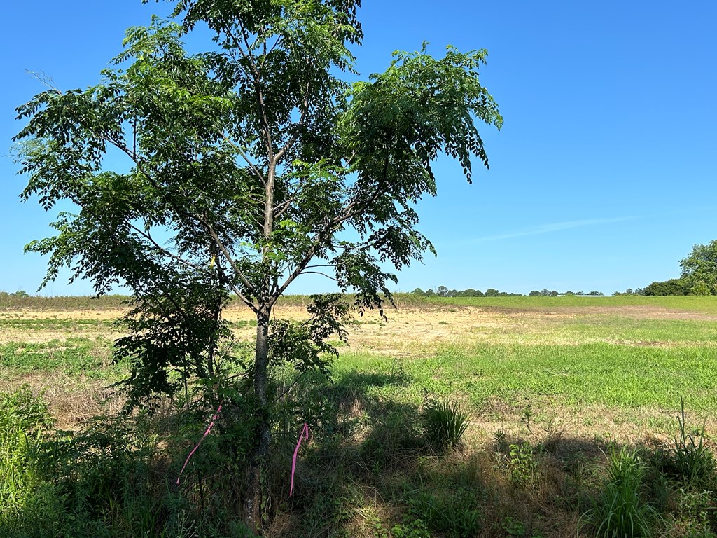 40.522-ac Cecil Varnum Road Dothan, AL 36301 - Photo 36 of 38