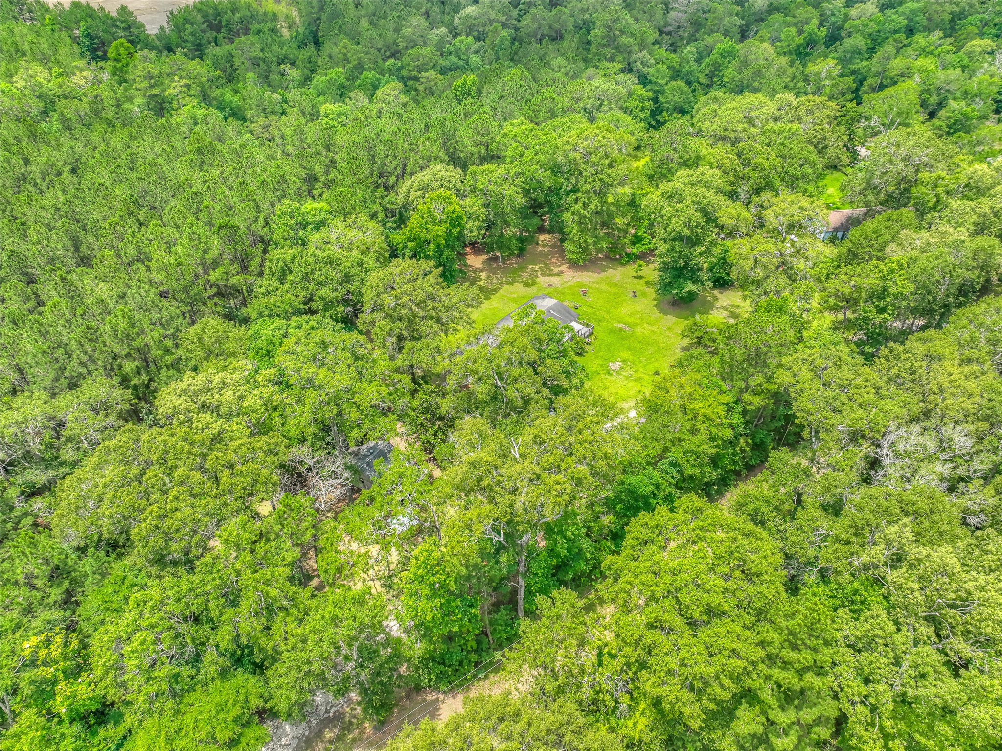 657 Parrish Road Livingston, TX 77351 - Photo 46 of 47 a view of a lush green forest
