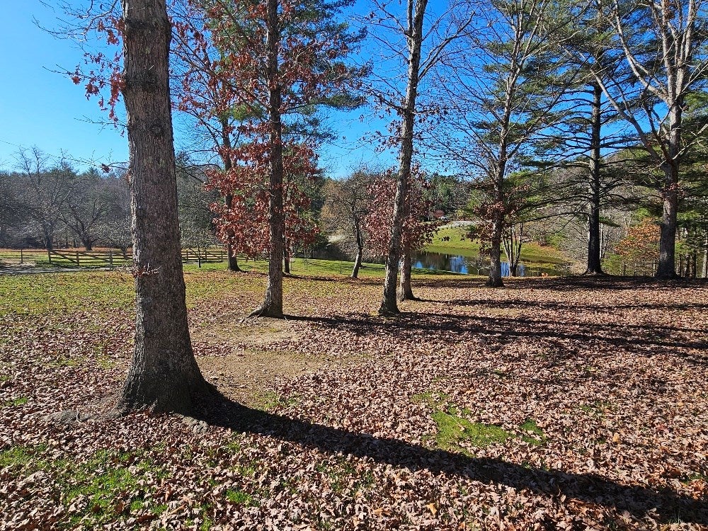 1810 Fulton Road Independence, VA 24348 - Photo 64 of 67 Gallery Image 64