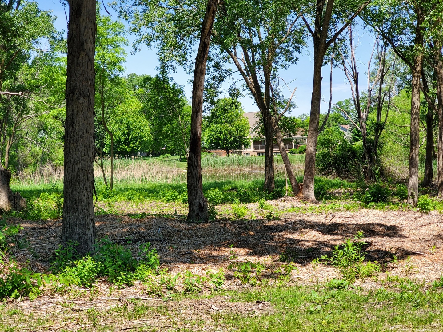 17444 Pin Oak Lane Gurnee, IL 60031 - Photo 2 of 6 a view of a yard with plants and large trees