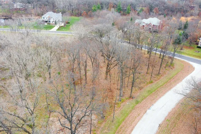 a view of a yard of a house