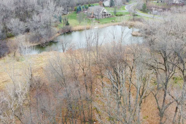 a view of a yard with trees
