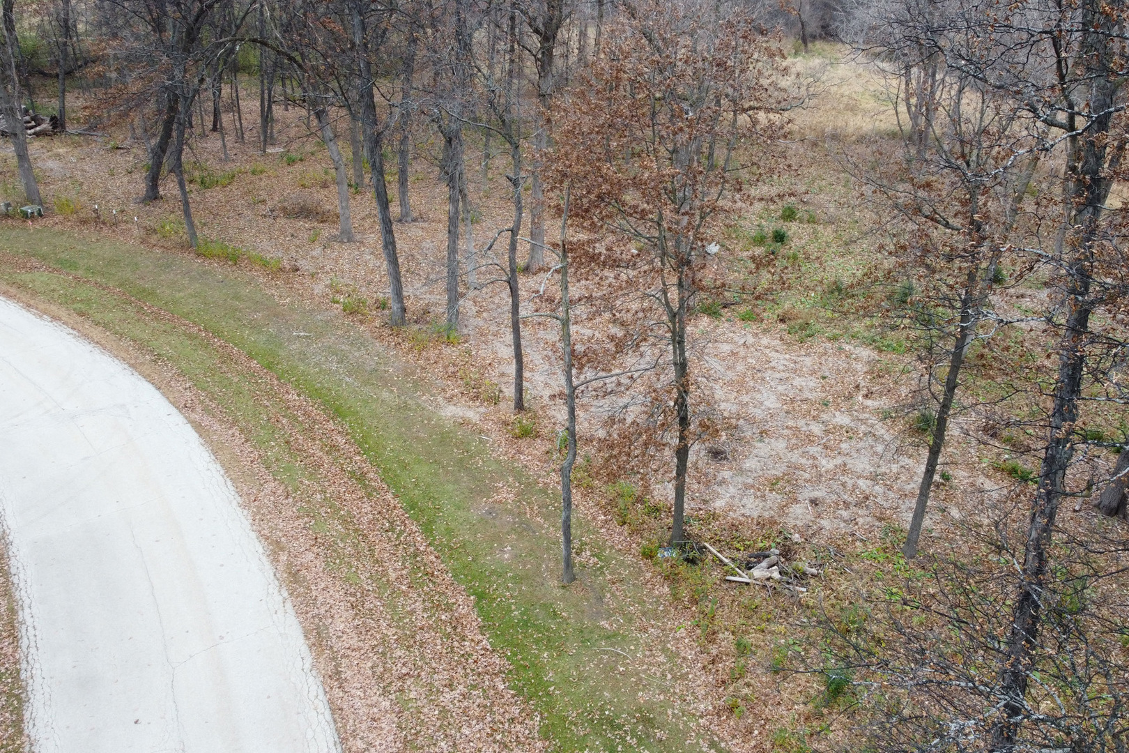 17444 Pin Oak Lane Gurnee, IL 60031 - Photo 6 of 6 a view of a yard with trees