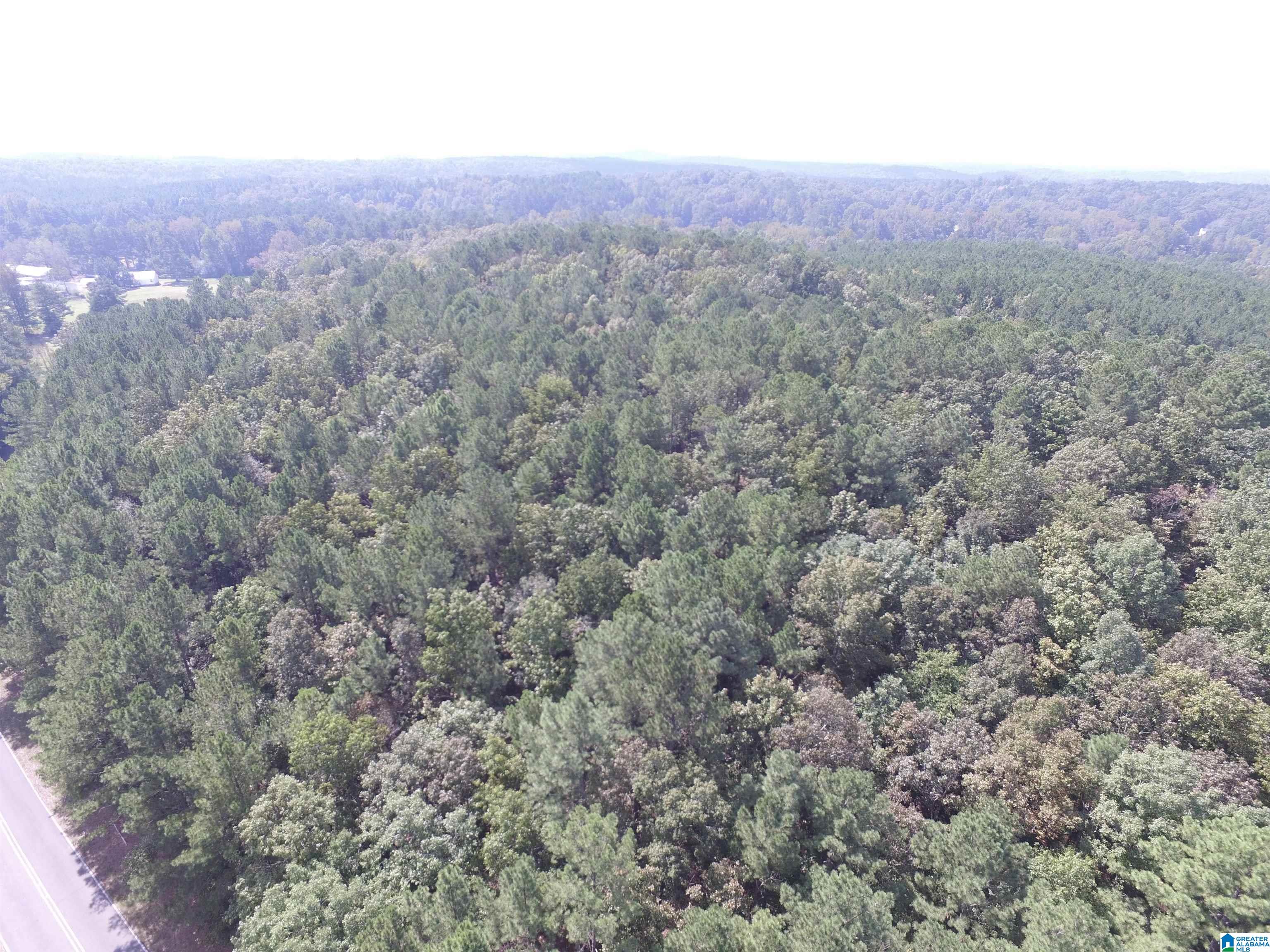 9138 Thermal Road, Unit 8 Warrior, AL 35180 - Photo 18 of 26