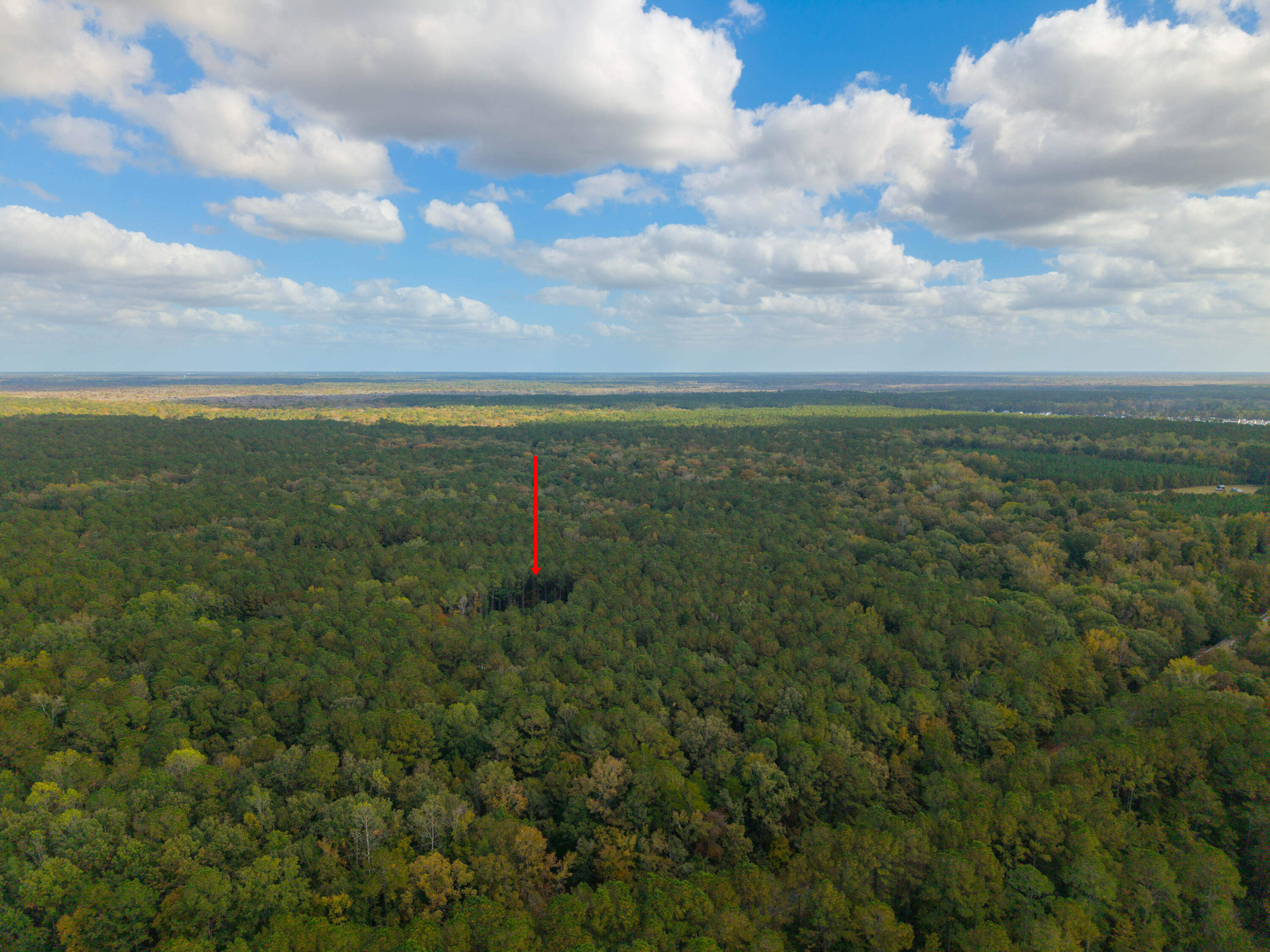 112 Canewood Lane Ridgeville, SC 29472 - Photo 65 of 69 DJI_20241030145652_0009_D-Edit