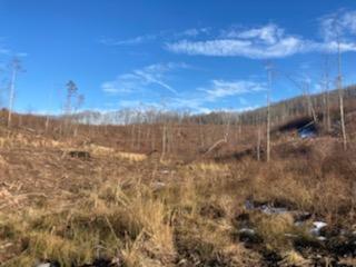 Grassy Meadows Road Alderson, WV 24910 - Photo 26 of 27 Gallery Image 26