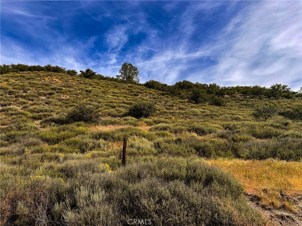 0 Lockwood San Ardo Road Bradley, CA 93426 - Photo 6 of 7