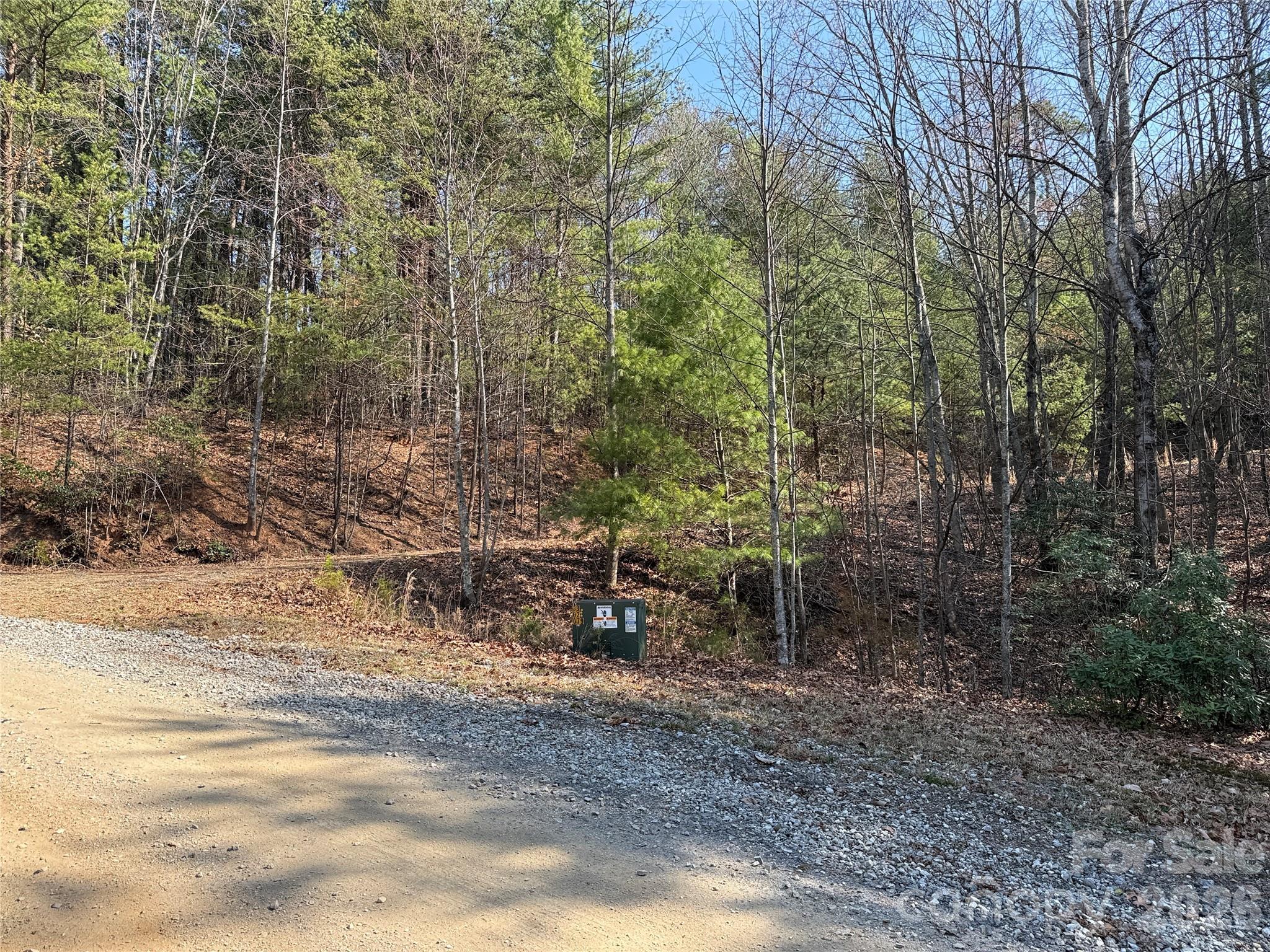 Tbd Deer Run, Unit 227 Purlear, NC 28665 - Photo 13 of 39 a view of a outdoor space with lots of trees