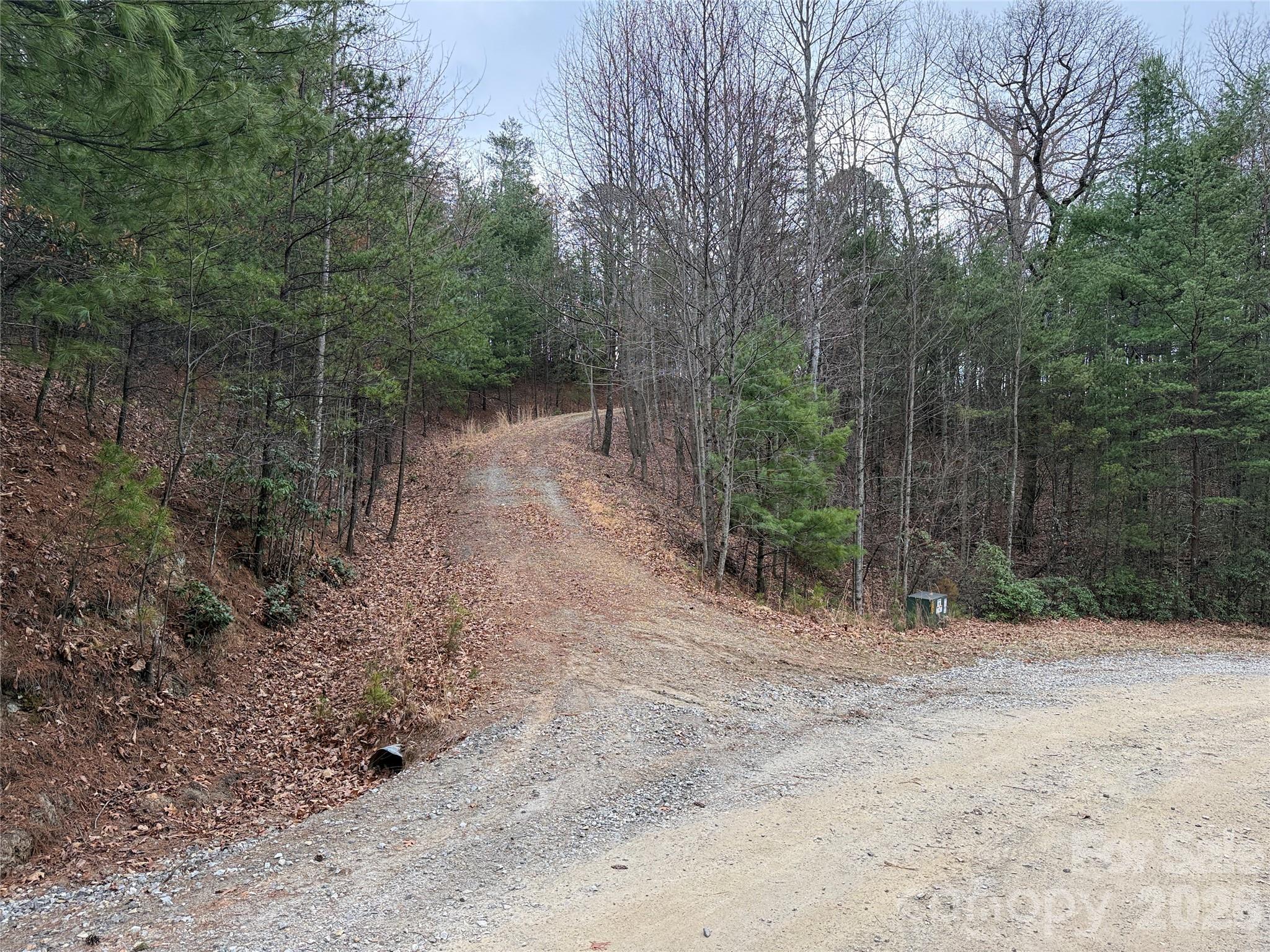 Tbd Deer Run, Unit 227 Purlear, NC 28665 - Photo 14 of 39 a view of a yard with trees