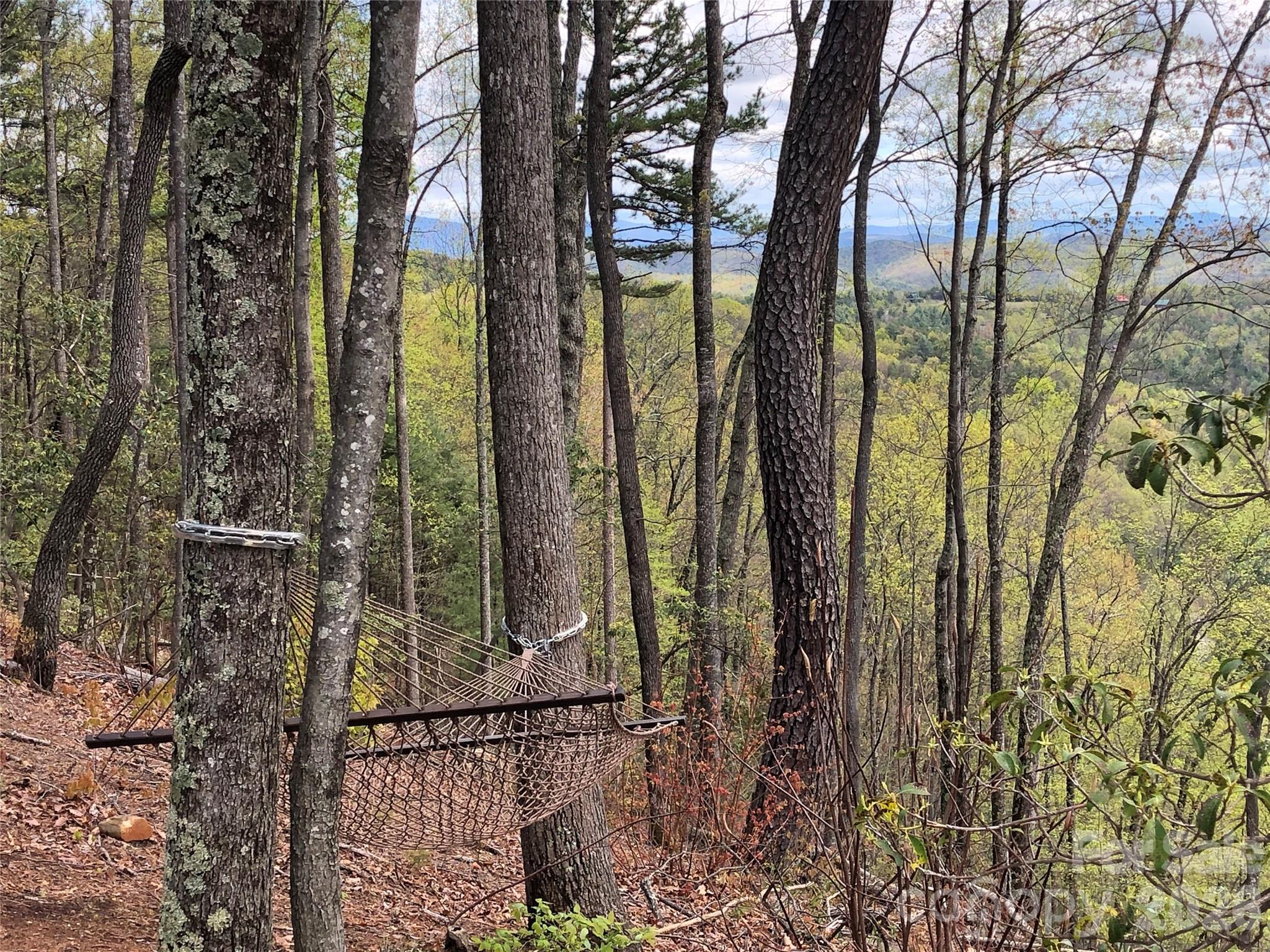 Tbd Deer Run, Unit 227 Purlear, NC 28665 - Photo 26 of 39 a view of a forest from a tree