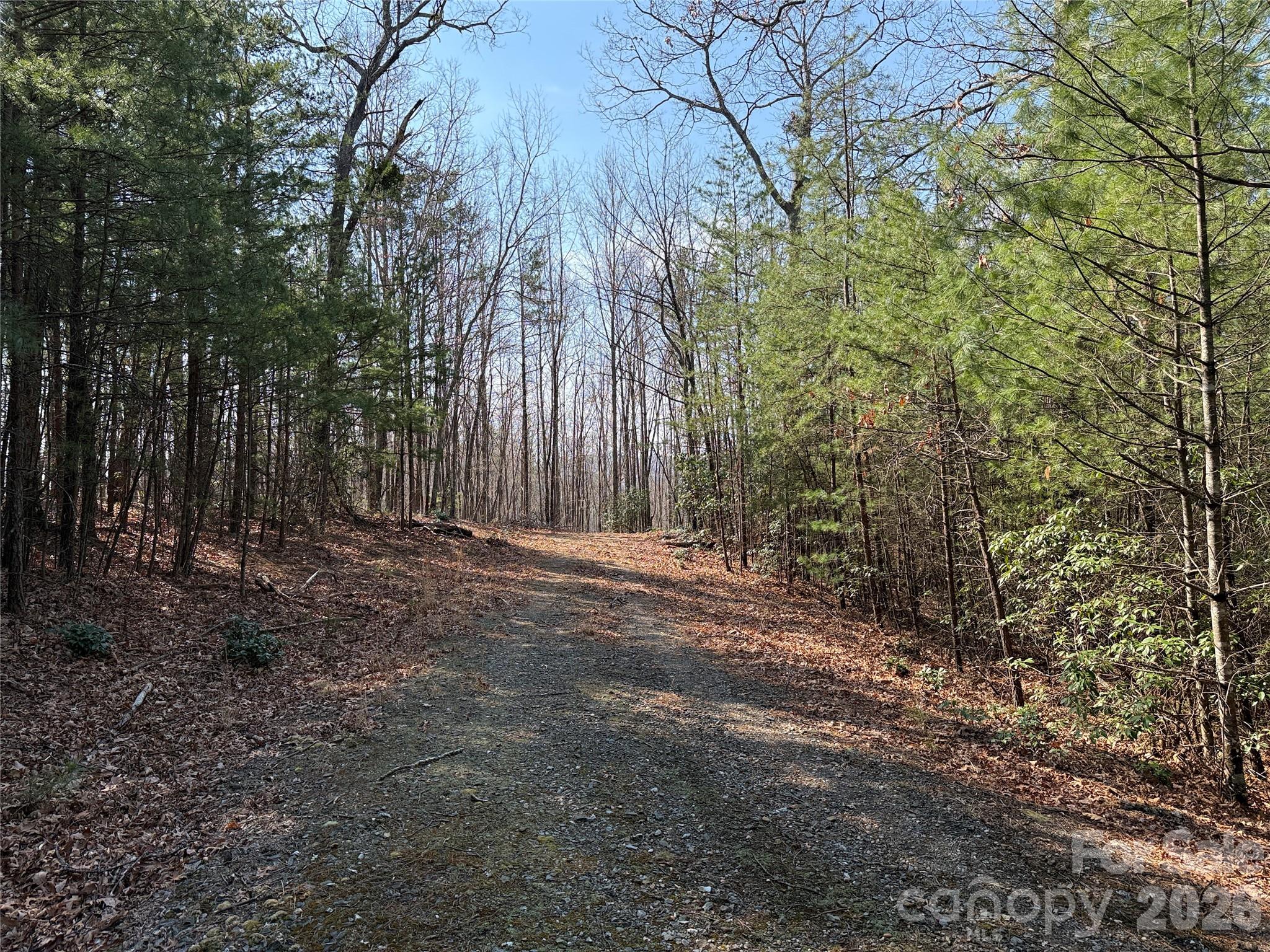Tbd Deer Run, Unit 227 Purlear, NC 28665 - Photo 3 of 39 a view of backyard with tree