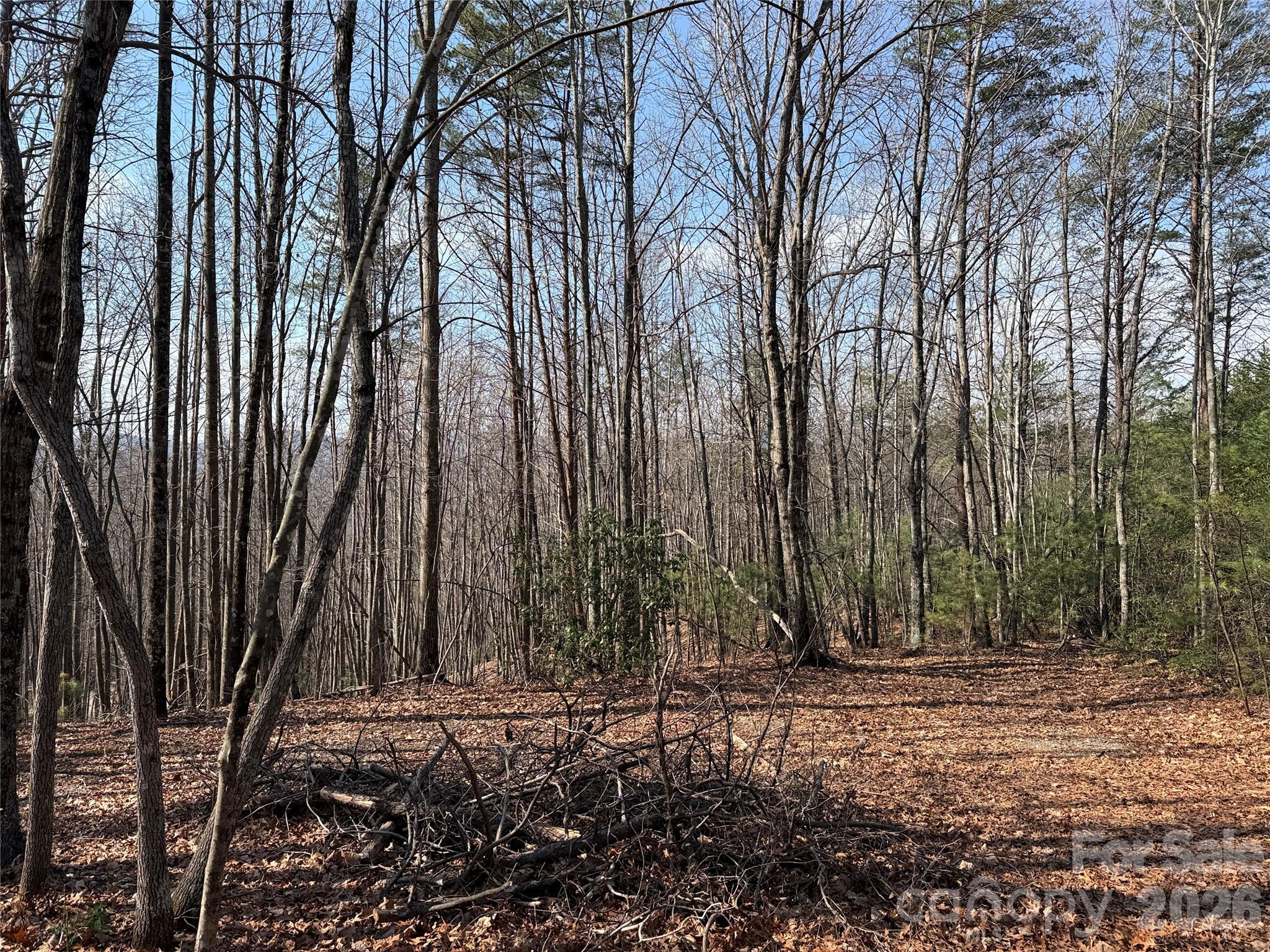 Tbd Deer Run, Unit 227 Purlear, NC 28665 - Photo 4 of 39 a view of a backyard with trees