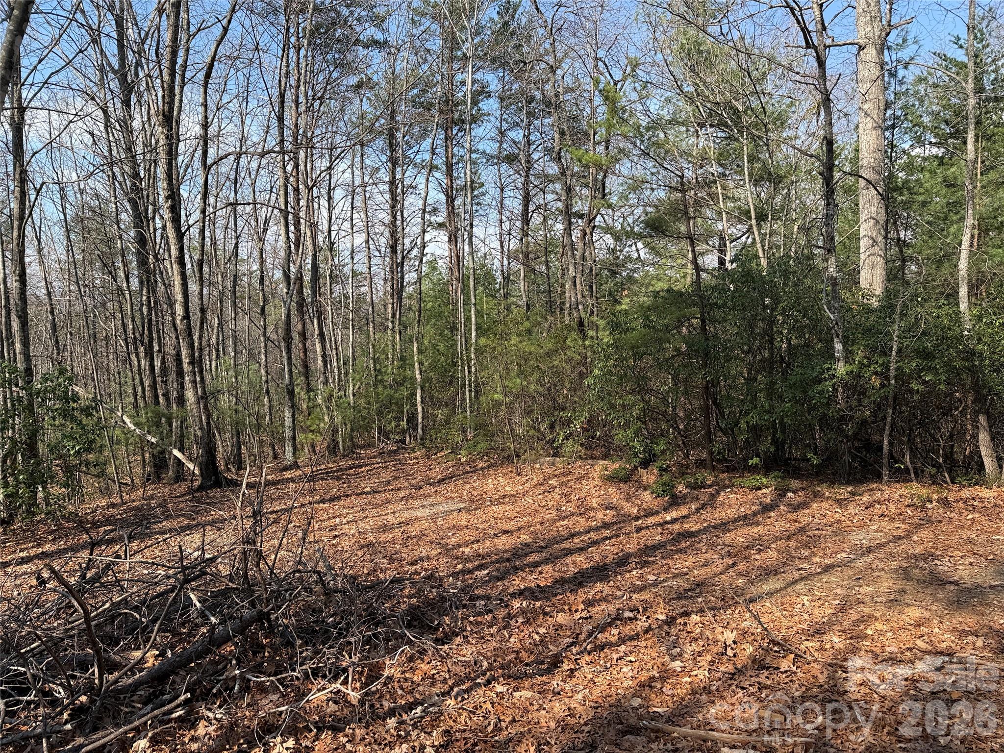 Tbd Deer Run, Unit 227 Purlear, NC 28665 - Photo 5 of 39 a backyard of a house with lots of green space