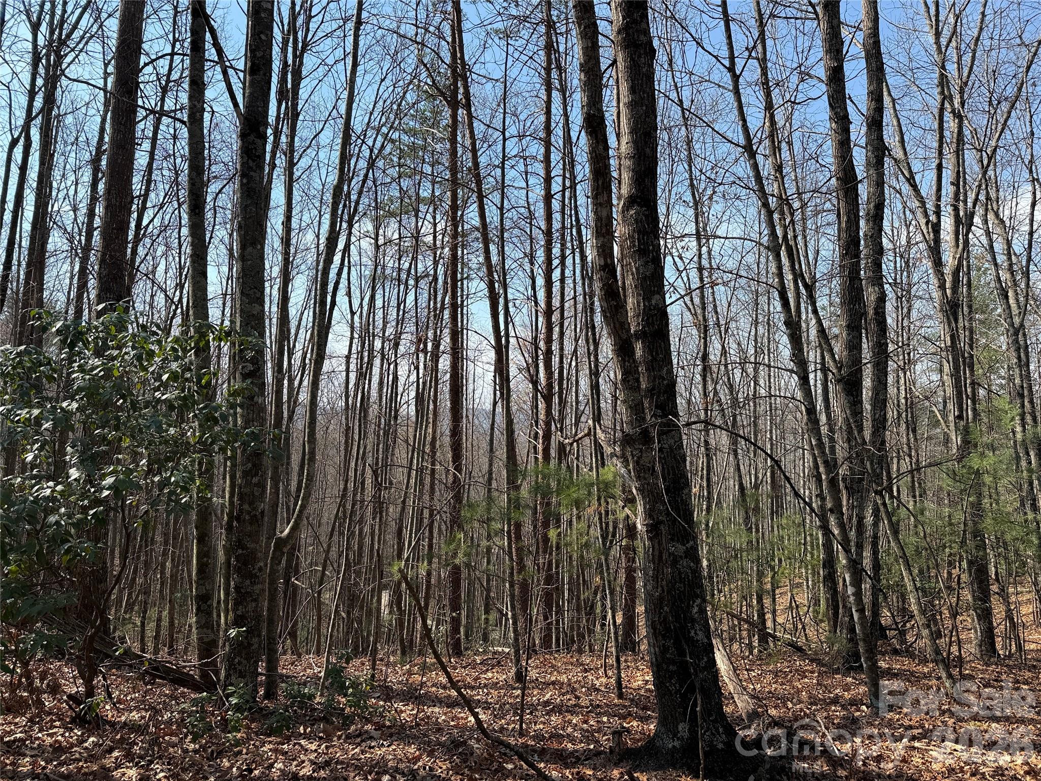 Tbd Deer Run, Unit 227 Purlear, NC 28665 - Photo 6 of 39 a view of outdoor space with a garden