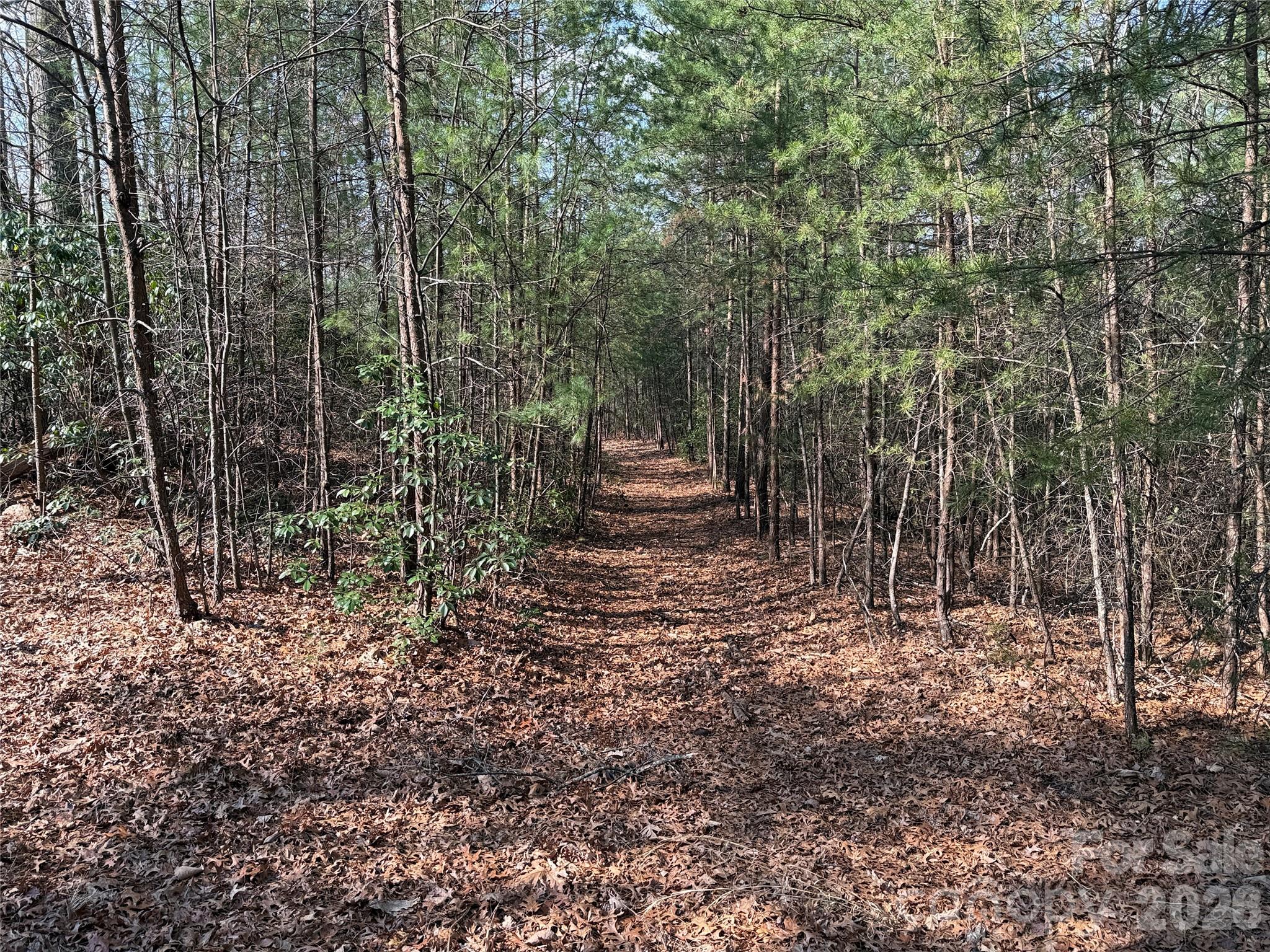 Tbd Deer Run, Unit 227 Purlear, NC 28665 - Photo 7 of 39 a view of a garden with trees
