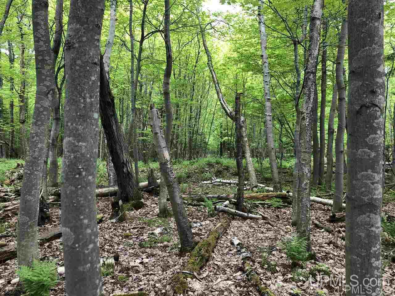 Tbd Will Pryor Road Big Bay, MI 49808 - Photo 7 of 18