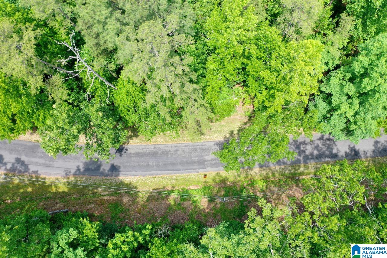 0 Kennedy Drive, Unit 13 Oneonta, AL 35121 - Photo 4 of 10