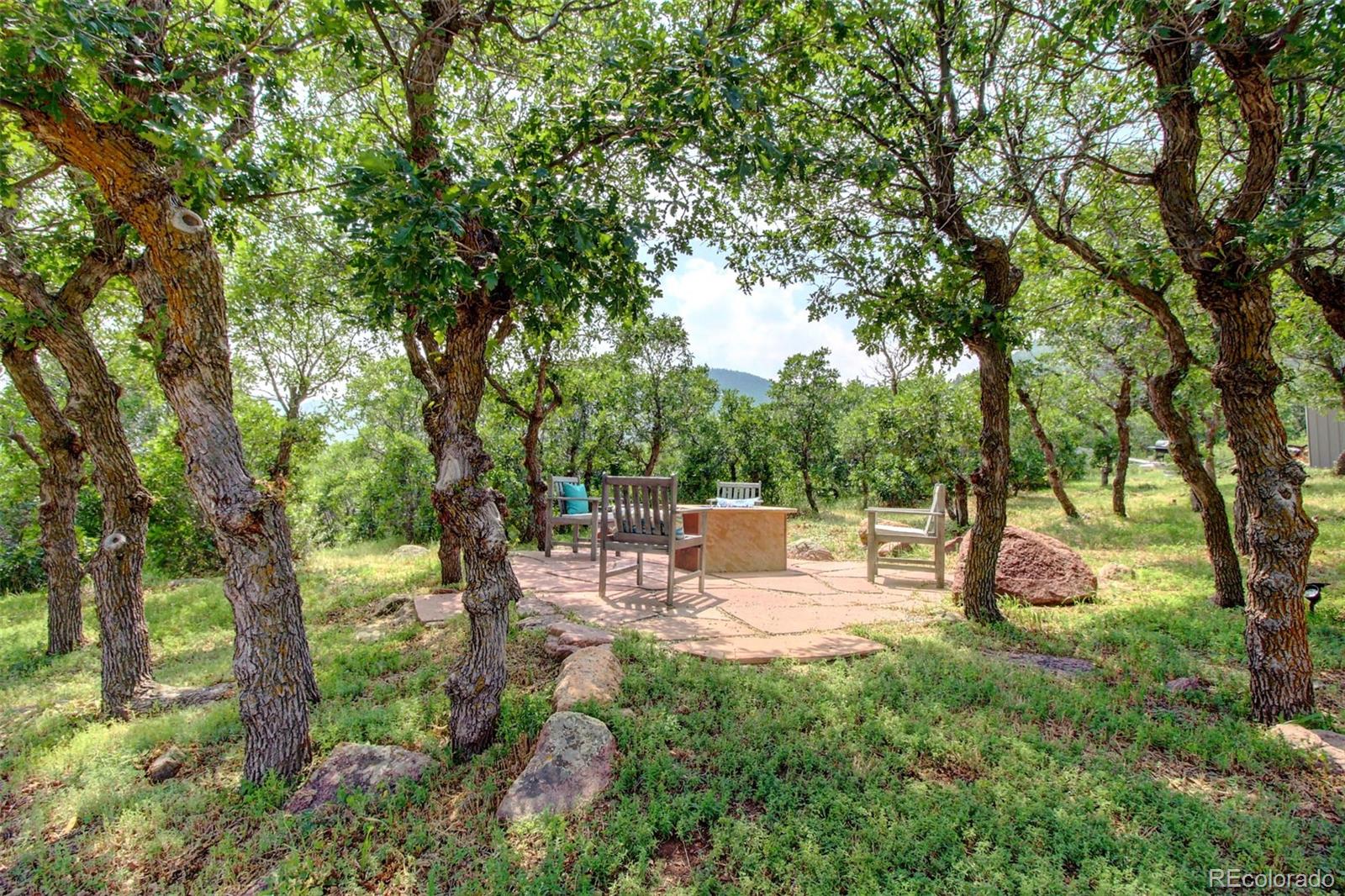 4345 Evans Road Monument, CO 80132 - Photo 38 of 40 a view of a park with large trees