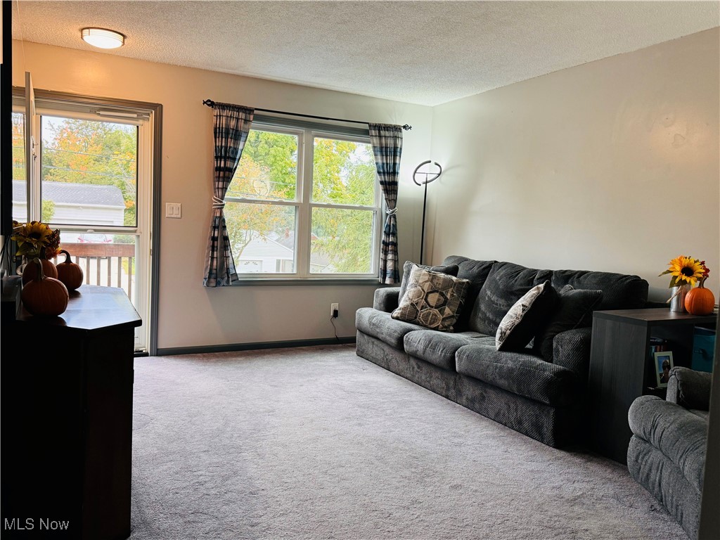 1522 Slusser Road Akron, OH 44305 - Photo 3 of 22 Gallery Image 3
