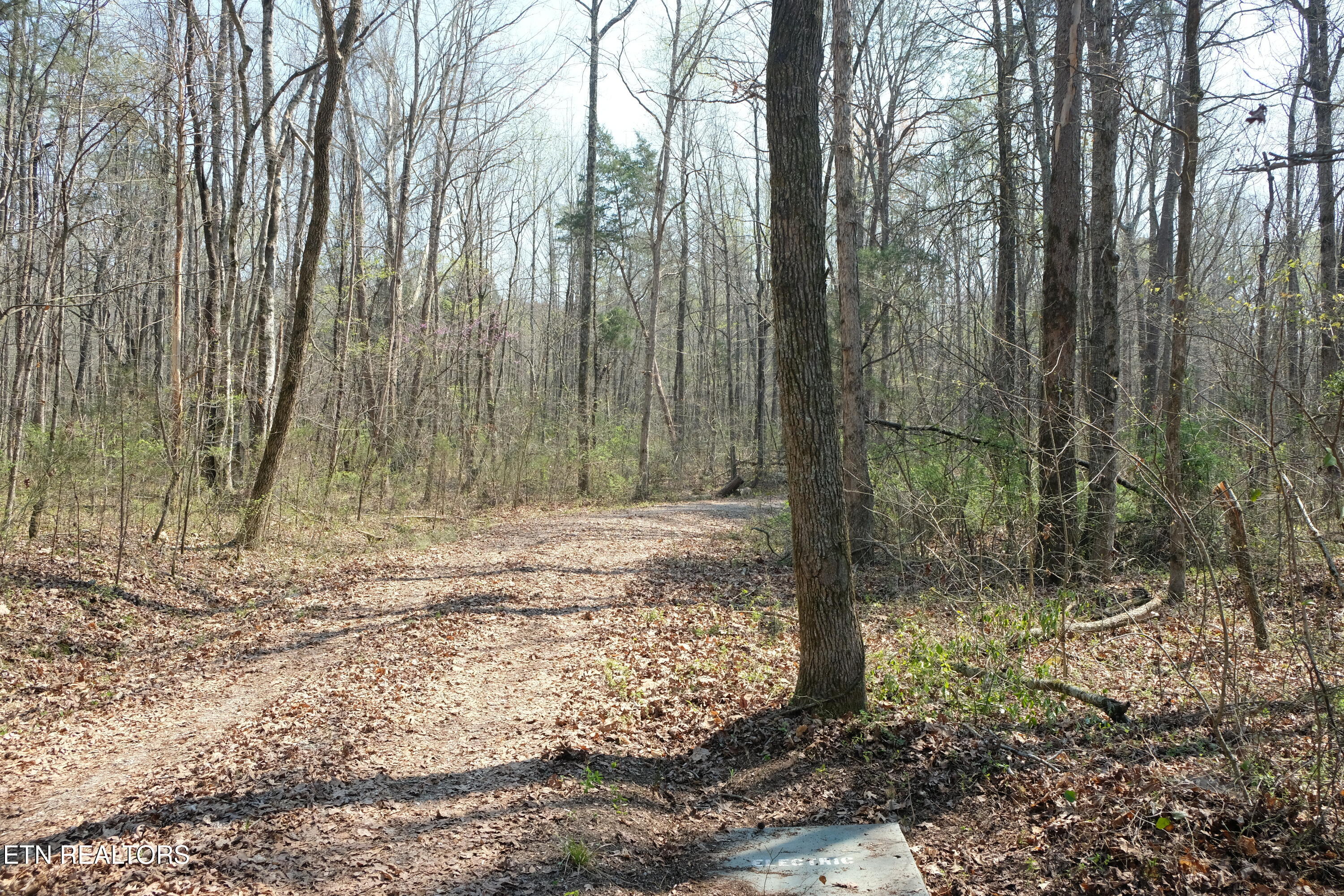 3578 Wolf Creek Road Spring City, TN 37381 - Photo 12 of 16 DSCF4593