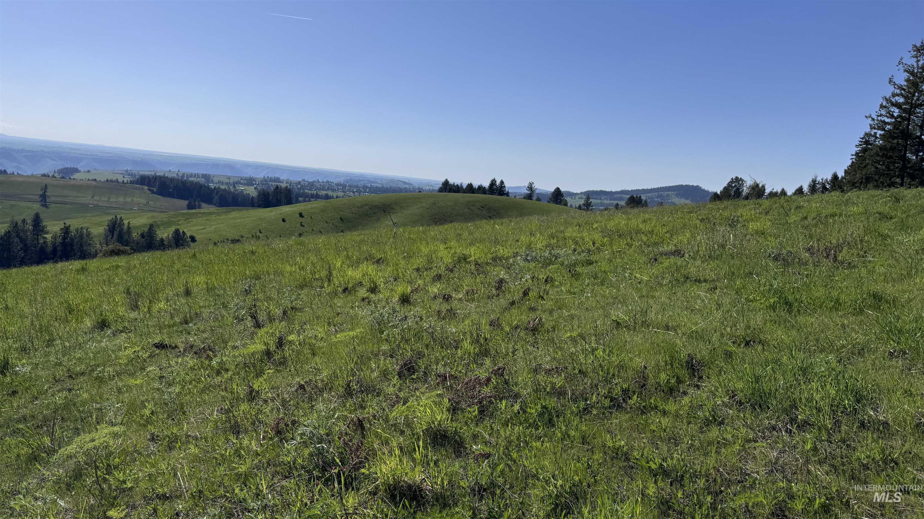 Tbd Harrisburg Road Kamiah, ID 83536 - Photo 28 of 50