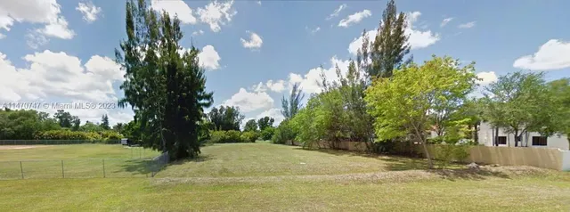 a view of a yard with plants and trees