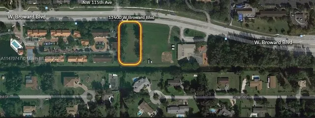 a view of a small garden