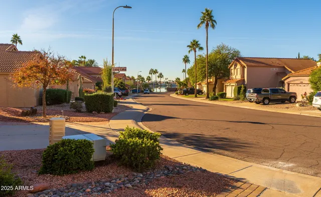a row of palm trees and a yard in the back of the house