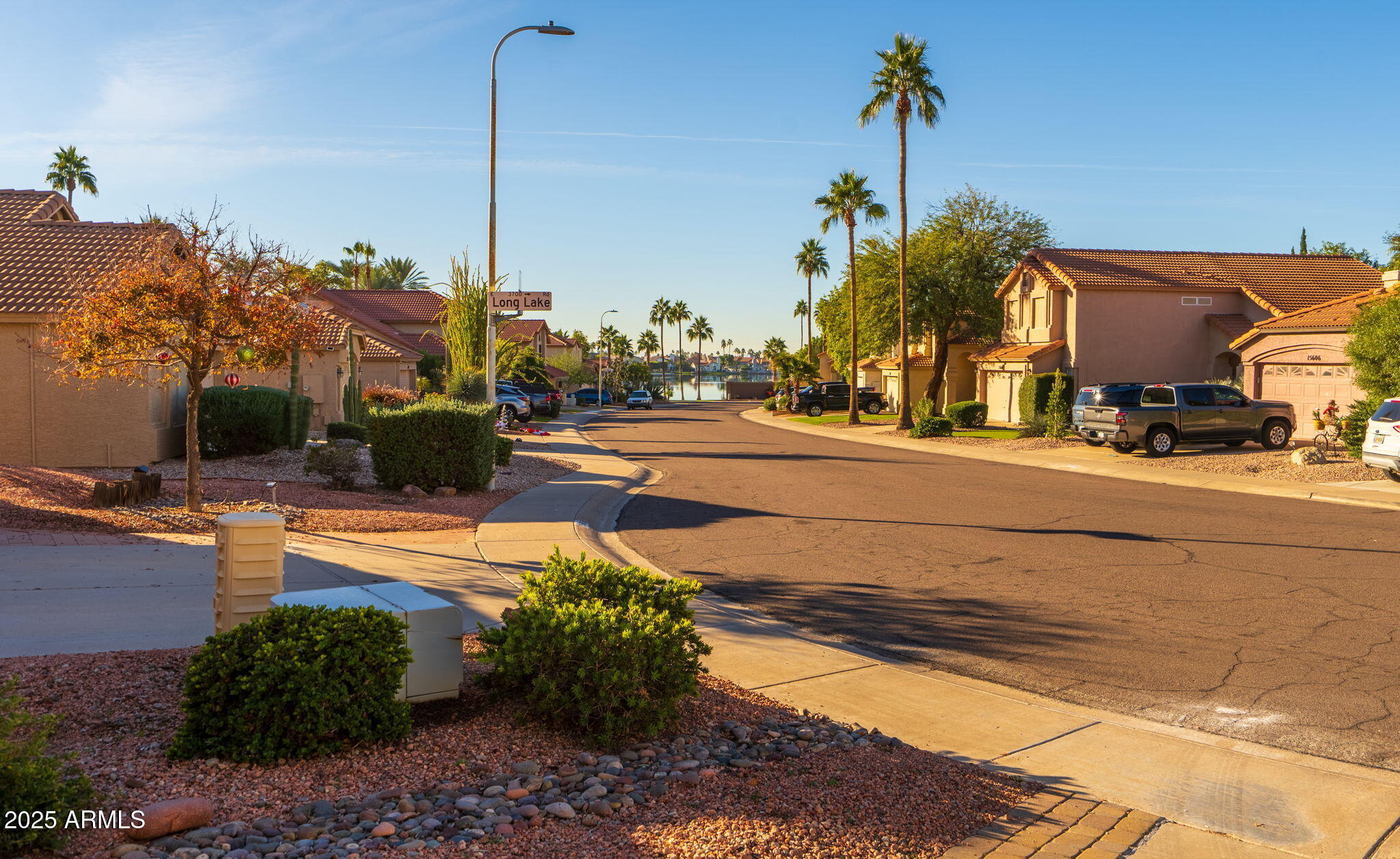 15601 South 37th Way Phoenix, AZ 85048 - Photo 26 of 28 a row of palm trees and a yard in the back of the house