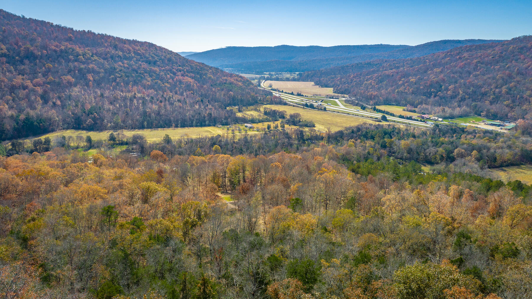 519 Hargiss Cove Road South Pittsburg, TN 37380 - Photo 104 of 118 519 Hargiss Cove Road HD-19