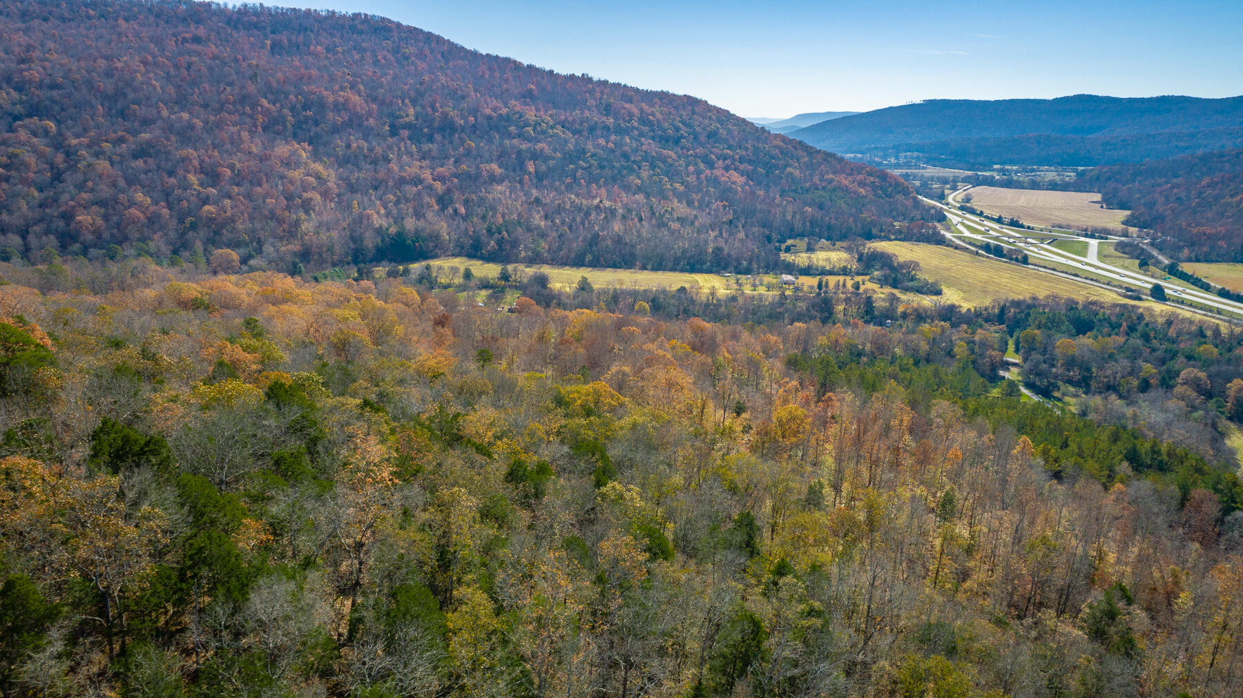 519 Hargiss Cove Road South Pittsburg, TN 37380 - Photo 106 of 118 519 Hargiss Cove Road HD-21