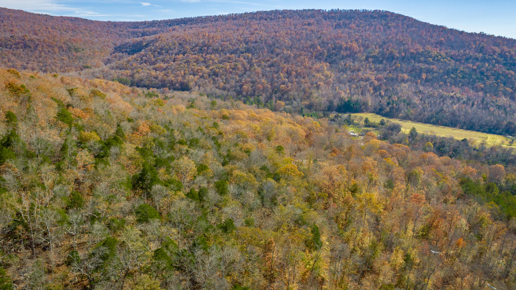 519 Hargiss Cove Road South Pittsburg, TN 37380 - Photo 107 of 118 519 Hargiss Cove Road HD-22