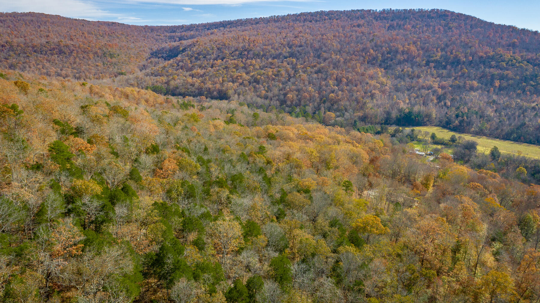 519 Hargiss Cove Road South Pittsburg, TN 37380 - Photo 108 of 118 519 Hargiss Cove Road HD-23