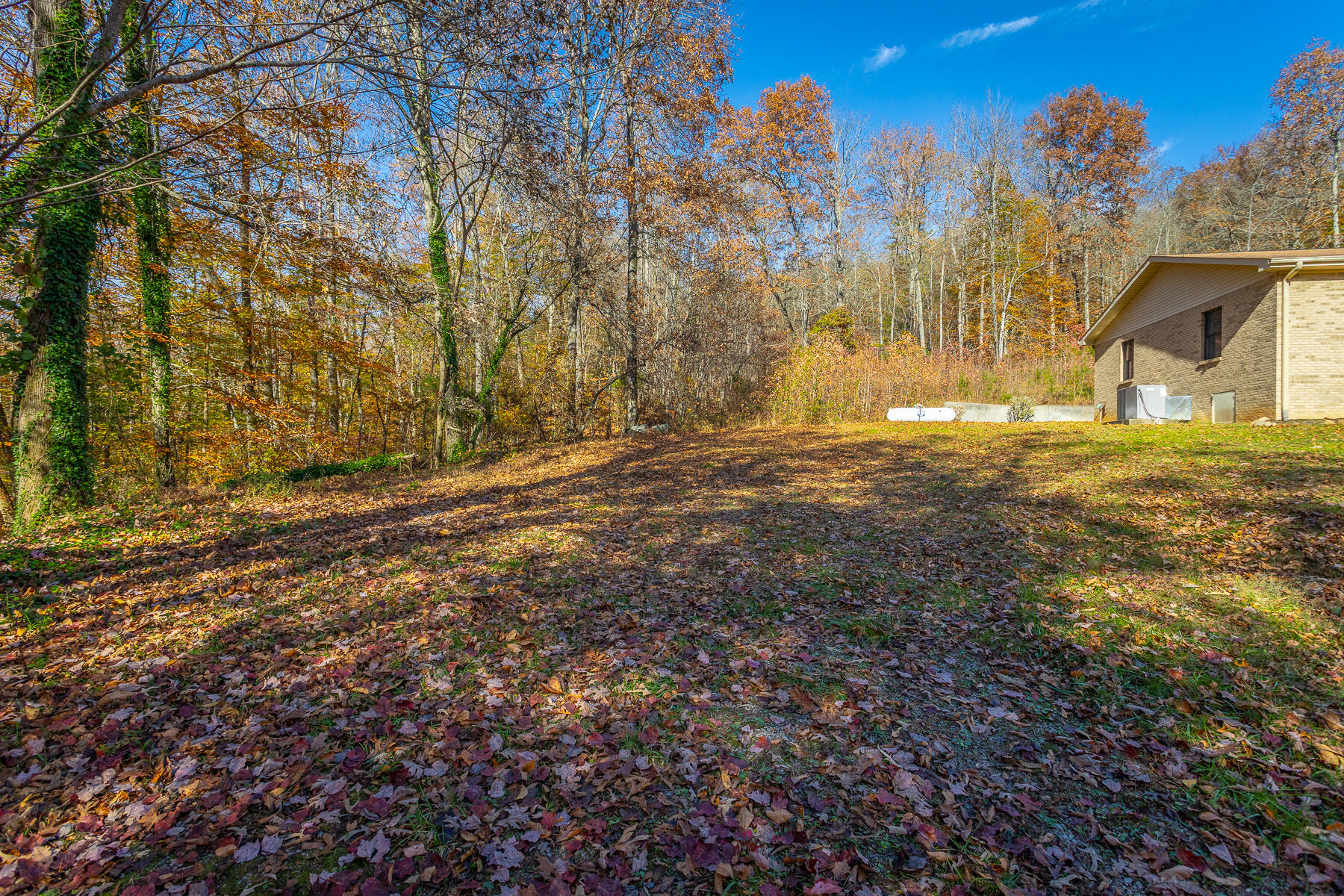 519 Hargiss Cove Road South Pittsburg, TN 37380 - Photo 65 of 118 519 Hargiss Cove Road HD-93