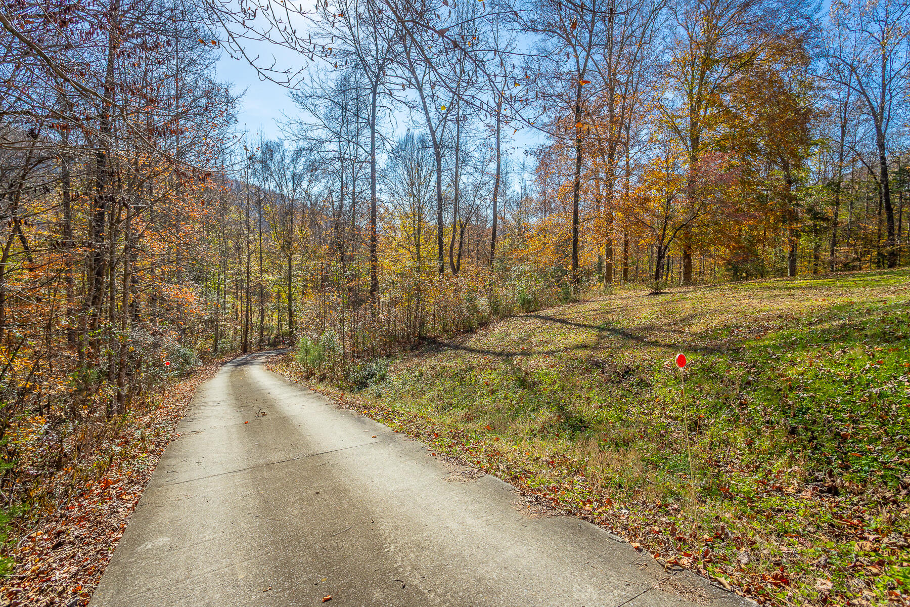 519 Hargiss Cove Road South Pittsburg, TN 37380 - Photo 71 of 118 519 Hargiss Cove Road HD-99